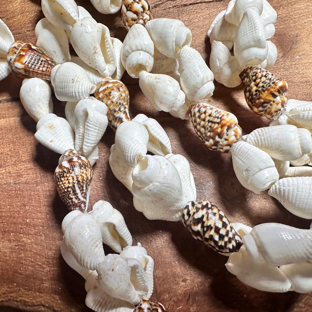 Shell necklace - Picture 4 of 4